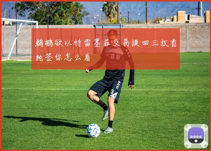 鹈鹕欲以特雷墨菲交易换回三枚首轮签你怎么看